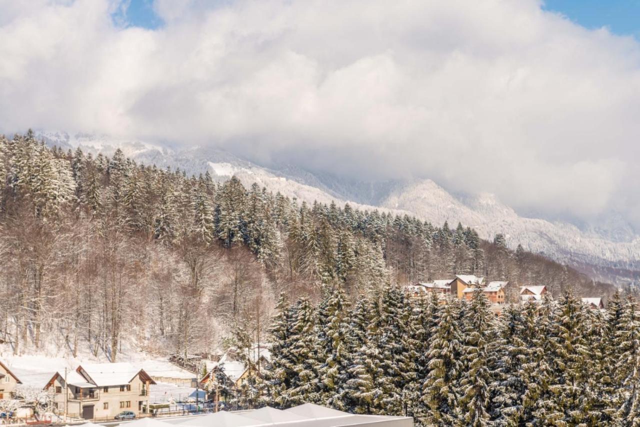 Apartamento Bucegi View 39 - Colina Marei Sinaia Exterior foto