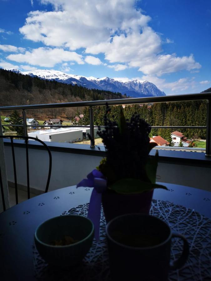 Apartamento Bucegi View 39 - Colina Marei Sinaia Exterior foto